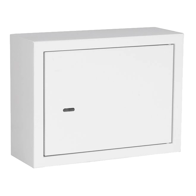 Антивандальний ящик петлі (400х300х150) · IPCOM БК-400-2
